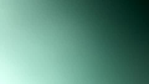 EtherealLilac online show from January 5, 2025, 2:38 am