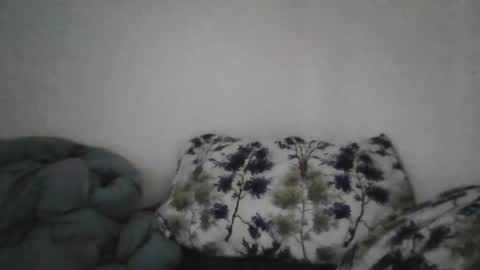 Snapshot of bruc12168 chatting on June 20, 2026, 12:08 pm Bruc12168 fit slim new makemecum bigdick edging online show from June 20, 2026, 12:08 pm