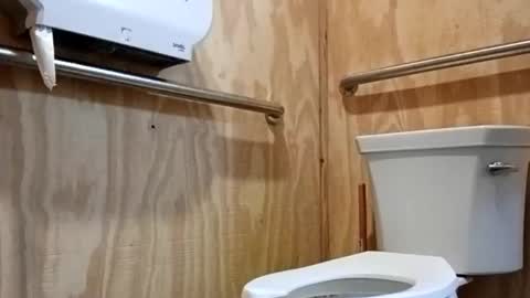 brumski4200 online show from January 17, 2026, 9:03 am