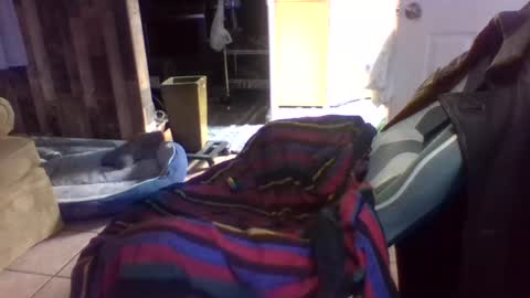 brutal3anddone online show from October 16, 2025, 5:14 pm