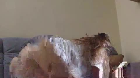 brutecia online show from September 16, 2025, 6:42 pm