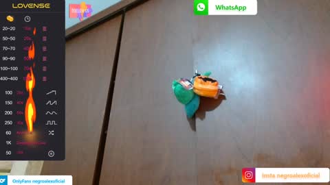 Enjoy the best muscle straws   online show from January 27, 2025, 2:10 am