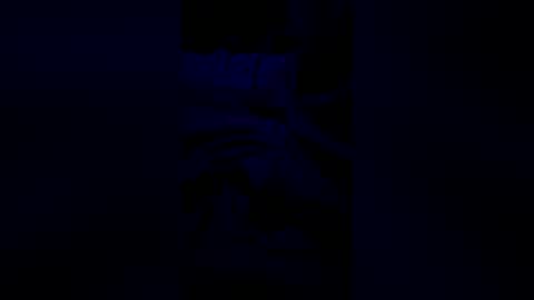 bubbleboy04602 online show from June 16, 2026, 6:05 am