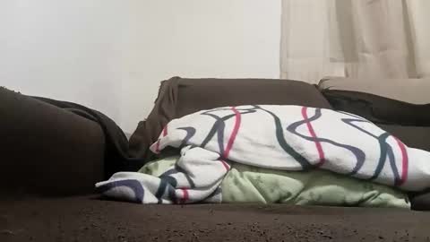 bullspain27266272 online show from February 10, 2026, 11:20 pm