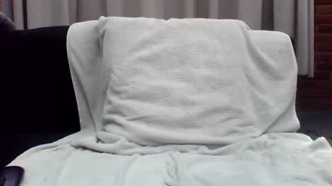 Dutch cock online show from July 19, 2026, 11:58 am