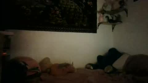 bunn13cat online show from March 17, 2026, 12:52 pm