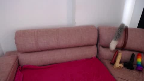 NINA online show from December 13, 2024, 2:05 pm