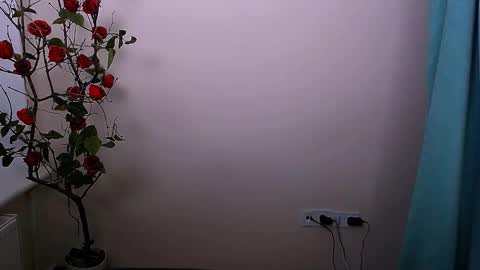 Snapshot of bunnybloom_ chatting on October 21, 2025, 4:13 am Ariel online show from October 21, 2025, 4:13 am