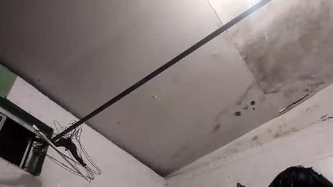 bunnychocolatte69 online show from November 30, 2025, 5:00 am