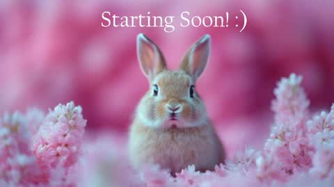 Stella online show from May 10, 2026, 9:53 pm