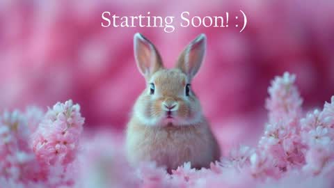 Stella online show from May 20, 2026, 10:05 pm