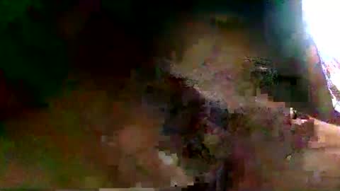 burro3000 online show from December 13, 2024, 4:43 am