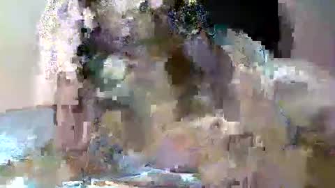 Snapshot of butler_yung chatting on May 12, 2026, 9:12 pm butler_yung online show from May 12, 2026, 9:12 pm