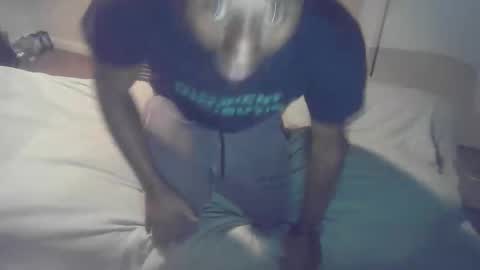 buynowlive online show from February 3, 2026, 2:53 am