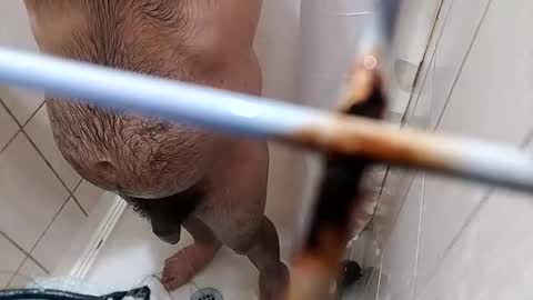 Snapshot of bxpapi69 chatting on November 10, 2025, 4:22 am bxpapi69 online show from November 10, 2025, 4:22 am