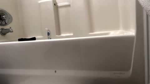 byrd2024 online show from February 15, 2025, 10:55 am