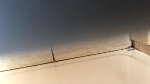 byrd2024 online show from March 9, 2025, 11:56 pm