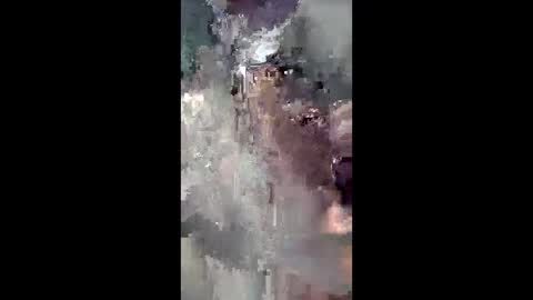 Sweetboi online show from December 21, 2025, 5:58 am