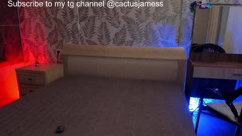 Snapshot of cactusjames_69 chatting on October 27, 2025, 3:16 pm James online show from October 27, 2025, 3:16 pm