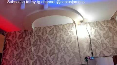 Snapshot of cactusjames_69 chatting on December 5, 2025, 11:30 am James online show from December 5, 2025, 11:30 am