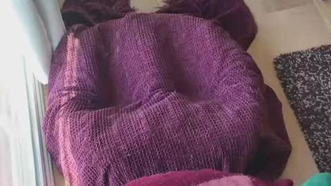 Caked Up online show from March 24, 2026, 12:26 am