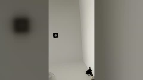 Snapshot of callme_arno chatting on June 24, 2026, 11:20 am Callme arno online show from June 24, 2026, 11:20 am