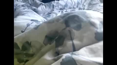 Snapshot of callmedaddyyouslut44 chatting on March 2, 2026, 11:50 am callmedaddyyouslut44 online show from March 2, 2026, 11:50 am