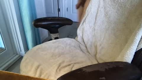 Snapshot of cals16 chatting on March 18, 2026, 3:59 pm cals16 online show from March 18, 2026, 3:59 pm