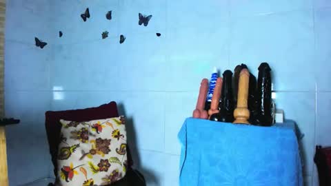 Snapshot of camilasexyhorny chatting on May 23, 2026, 12:05 am camilasexyhorny online show from May 23, 2026, 12:05 am