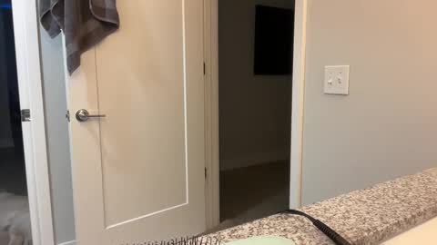 camiliakxoxo online show from December 8, 2024, 10:41 am