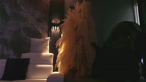 Snapshot of camiloalvarezzz3 chatting on June 23, 2026, 12:03 pm CAMILO online show from June 23, 2026, 12:03 pm