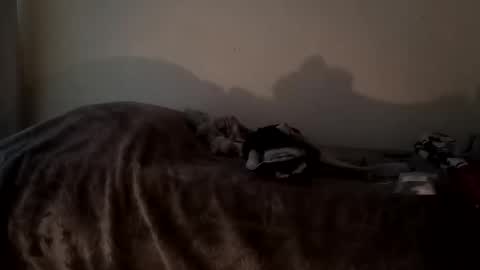 Camren online show from October 7, 2025, 2:47 pm