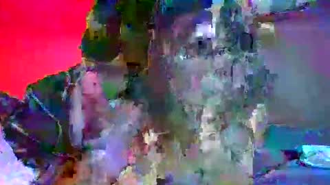 Snapshot of candy_kyle chatting on October 2, 2025, 10:28 pm candy kyle online show from October 2, 2025, 10:28 pm