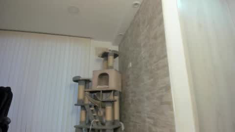 Snapshot of candy_queen81 chatting on November 15, 2025, 11:07 am candy_queen81 online show from November 15, 2025, 11:07 am