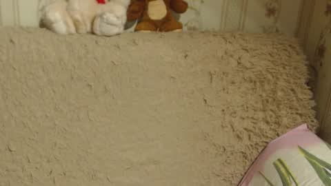 say meow and send tip  online show from December 13, 2024, 5:21 pm