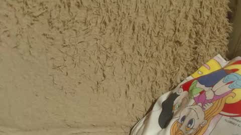 say meow and send tip  online show from February 13, 2025, 9:06 pm