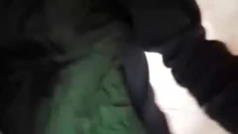 Snapshot of capri34 chatting on September 21, 2025, 7:48 pm capri34 online show from September 21, 2025, 7:48 pm