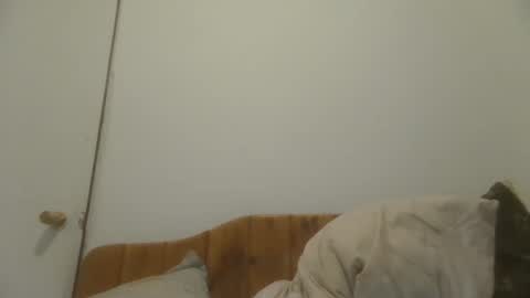 Snapshot of caravibugue chatting on December 7, 2024, 1:03 am caravibugue online show from December 7, 2024, 1:03 am