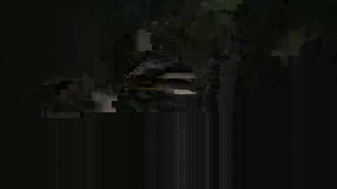 supersexycardie online show from May 16, 2026, 4:09 am