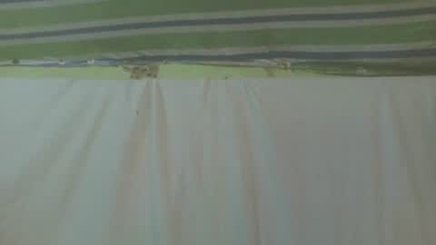 Snapshot of carinesexy69 chatting on October 2, 2025, 11:39 am carinesexy69 online show from October 2, 2025, 11:39 am