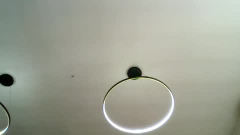 Carlos online show from February 1, 2026, 8:35 am