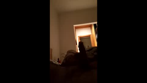 carlos1234500 online show from January 17, 2026, 7:13 am