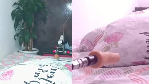 Carol online show from April 11, 2026, 11:03 am