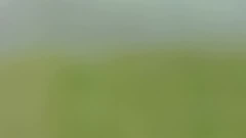 Caro online show from September 24, 2025, 1:53 am