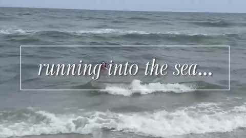 Snapshot of carriemadsin chatting on December 2, 2025, 11:00 pm carrie madsin online show from December 2, 2025, 11:00 pm