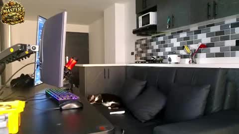 cash_master777 online show from May 21, 2026, 1:07 pm