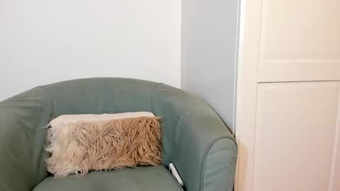 Snapshot of cassieandmarco chatting on October 27, 2025, 11:03 am cassiecute - onlyfans account online show from October 27, 2025, 11:03 am