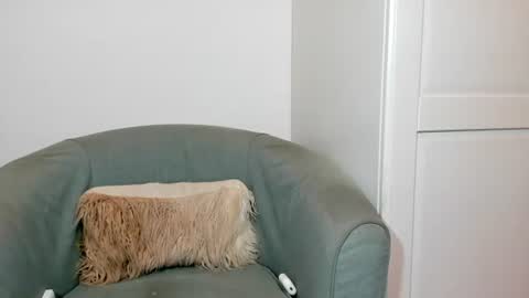 cassiecute - onlyfans account online show from July 4, 2026, 6:03 pm