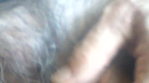 castells online show from July 2, 2026, 2:56 pm