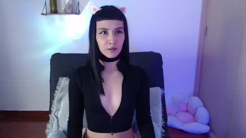 cat online show from January 22, 2025, 2:15 am